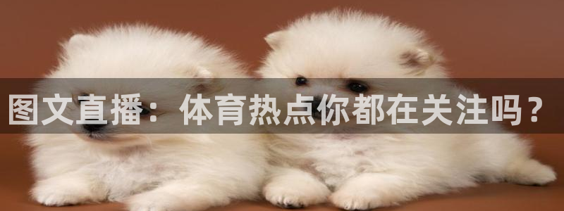 新闻图片