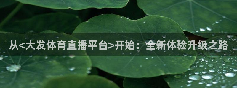 从<大发体育直播平台>开始：全新体验升级之路