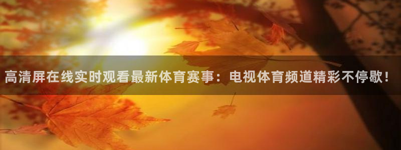 高清屏在线实时观看最新体育赛事：电视体育频道精彩不停歇！