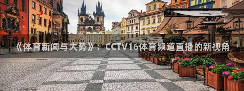 《体育新闻与大势》：CCTV16体育频道直播的新视角