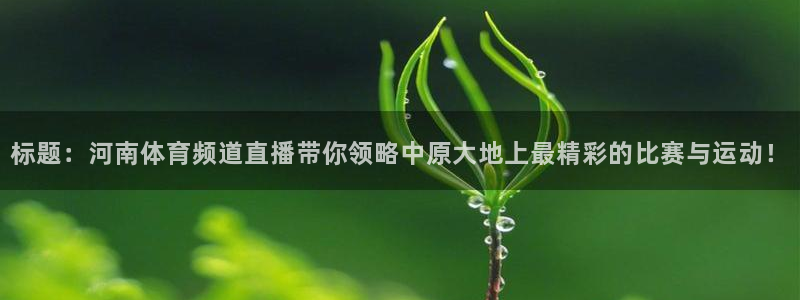 新闻图片