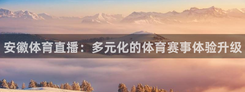 安徽体育直播：多元化的体育赛事体验升级