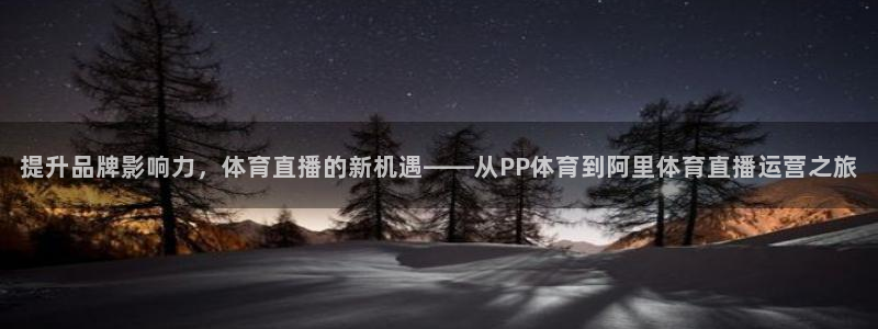 提升品牌影响力，体育直播的新机遇——从PP体育到阿里体育直播运营之旅