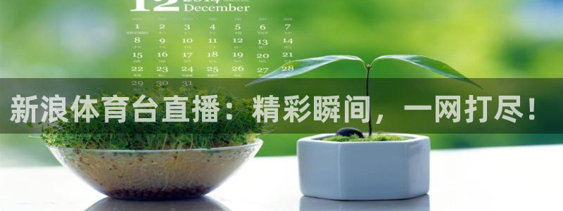 新浪体育台直播：精彩瞬间，一网打尽！